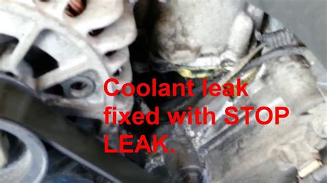 Coolant Leak 2018 Max